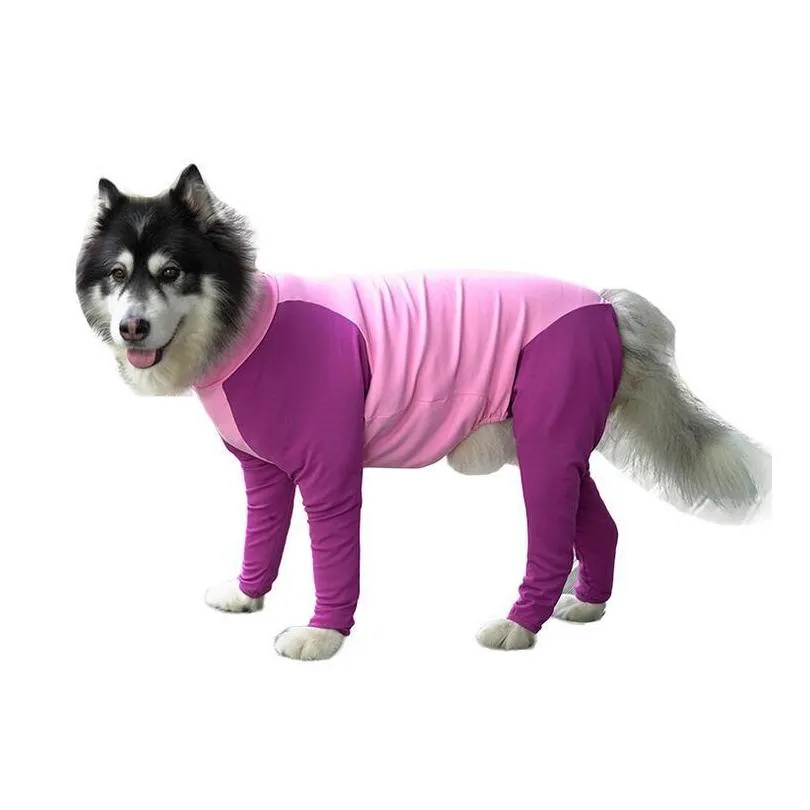 Husky clothes best sale dog