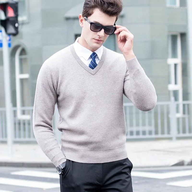 Men s Sweaters Trui Man Geit Kashmir Used Winter Warm Truien V neck Long Standard Male Jumper 5 Color Tops