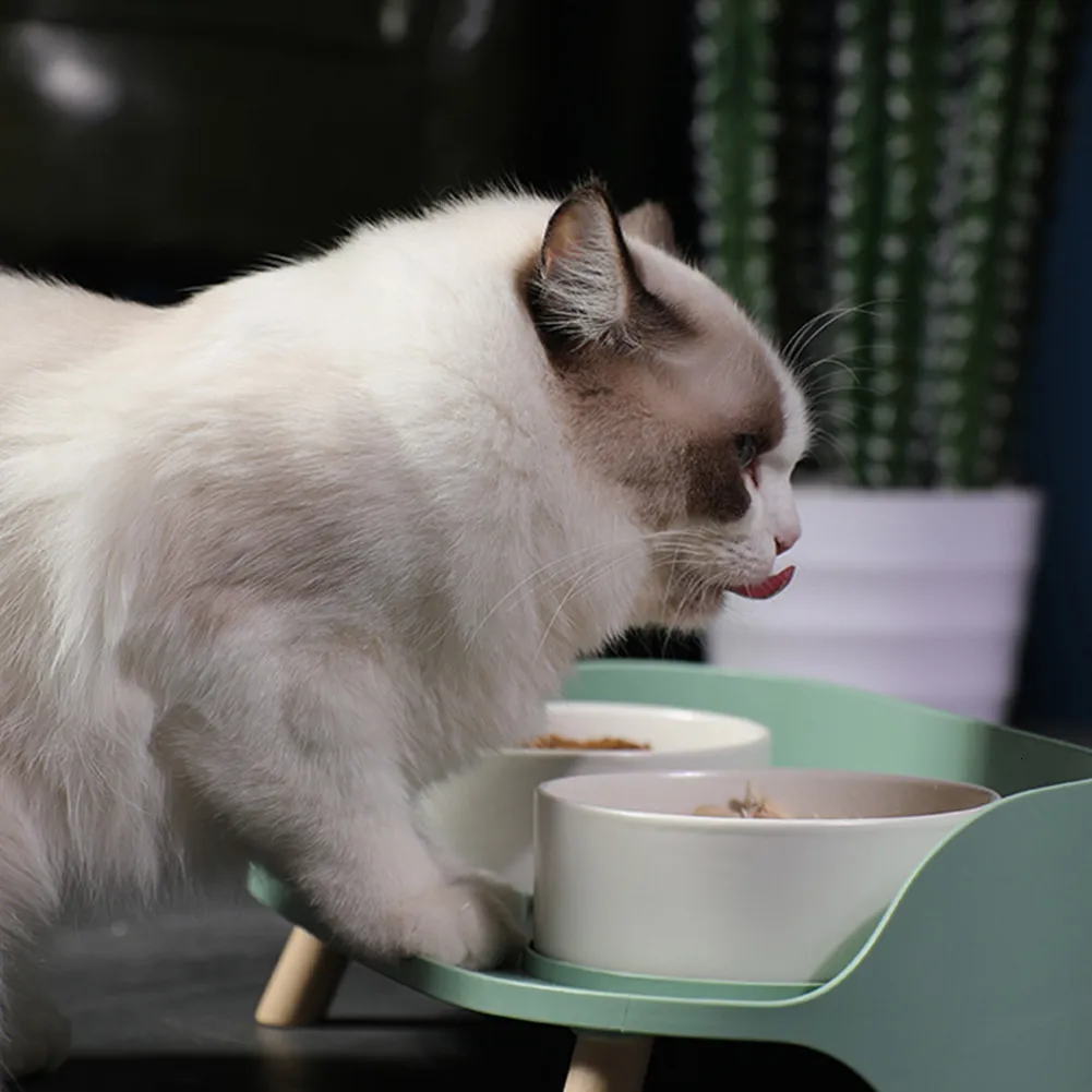 Flurff Automatic Cat Feeder Pet Dining Table Dual Feeding Neck Protect