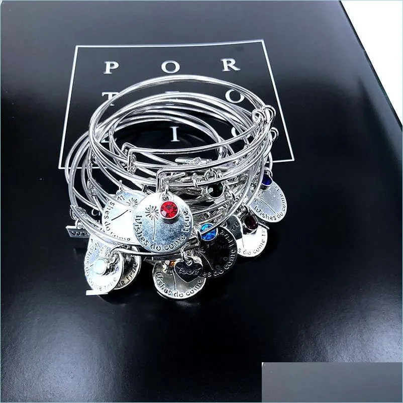 Bedelarmbanden verstelbare stalen draadpangle beste vriend verjaardag cadeau geboortestone wens liefde charmel Bracelet voor vrouwen drop levering j dhjbx