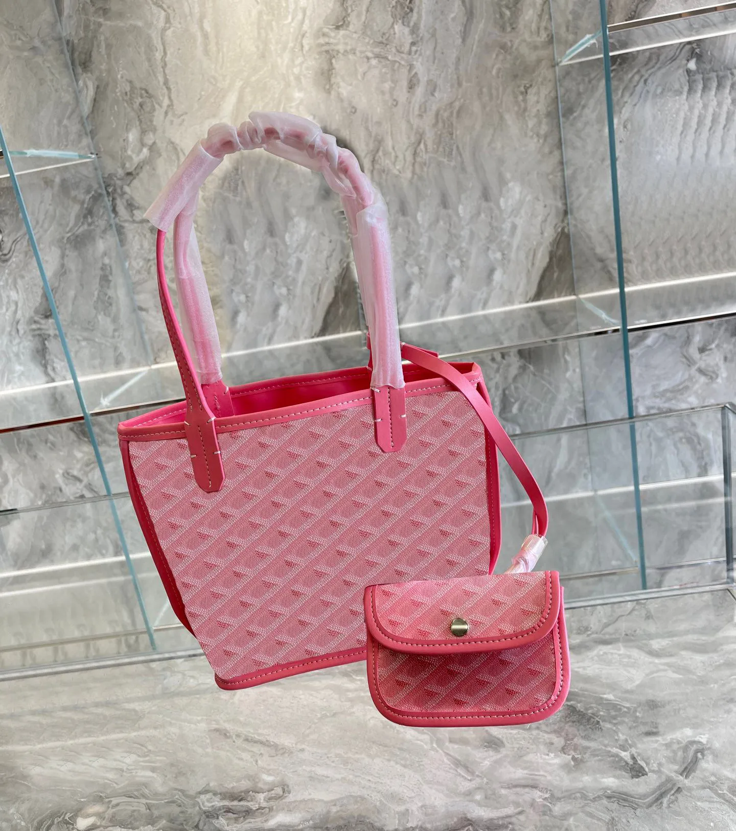 Anjou Canvas And Leather Mini Grey Tote Bag For Women Stylish