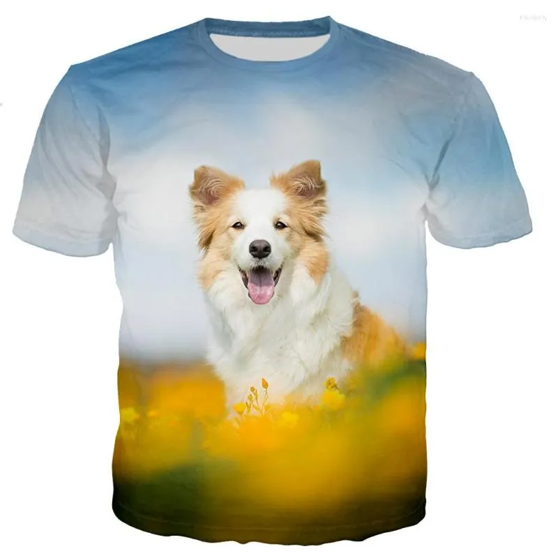 Herren-T-Shirts, Border Collie, Männer/Frauen, 3D-Tierhunde, bedrucktes T-Shirt, lässige Mode, Harajuku-Stil, Unisex, Streetwear, T-Shirt