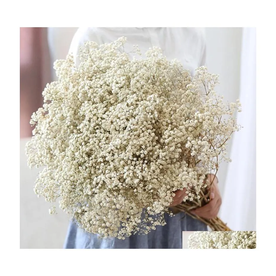 장식용 꽃 화환 천연 신선한 말린 보존 된 gypsophila panicata babys 호흡 꽃다발 선물 웨딩 드롭 데 dhcsi