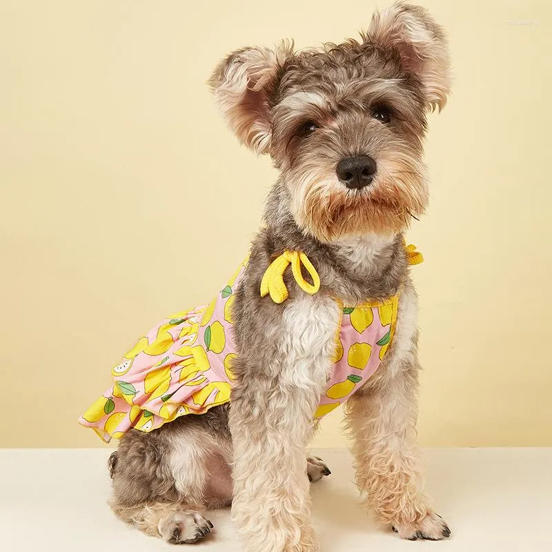 Hondenkleding cawayi kennel zomer schattige jurken voor honden katten pet sling rok fruit print kleding kleine kattenjurk d2312