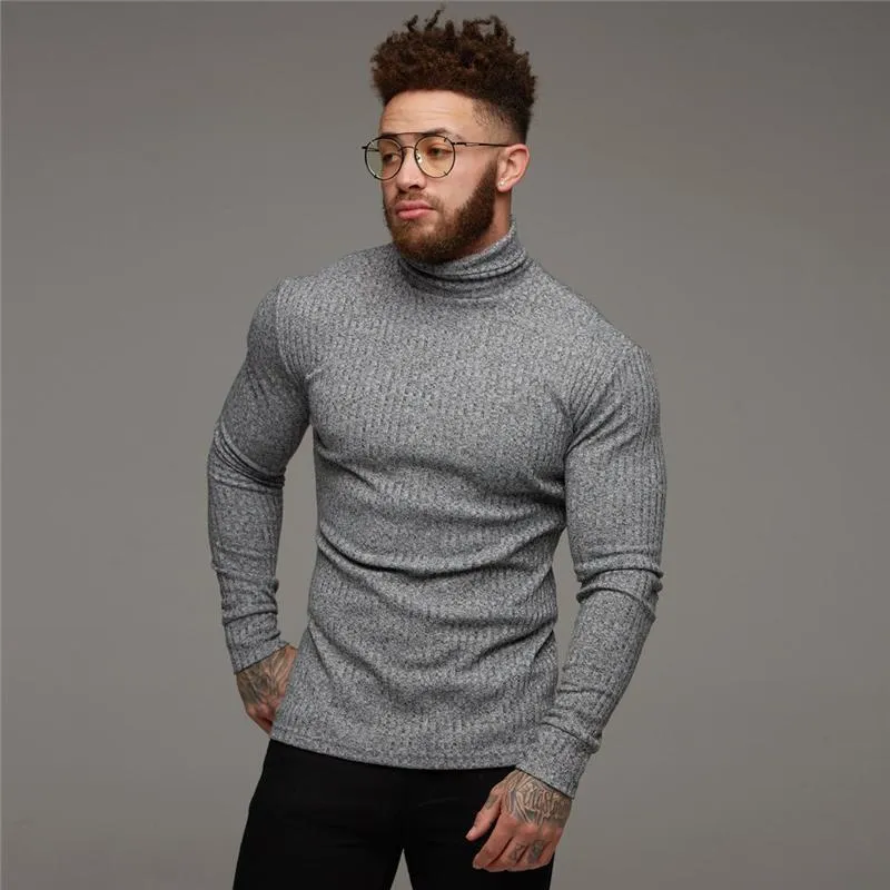 Pulls pour hommes Mode Hiver Pull Hommes Chaud Col Roulé Hommes Slim Fit Pull Classique Sweter Tricots Pull Homme