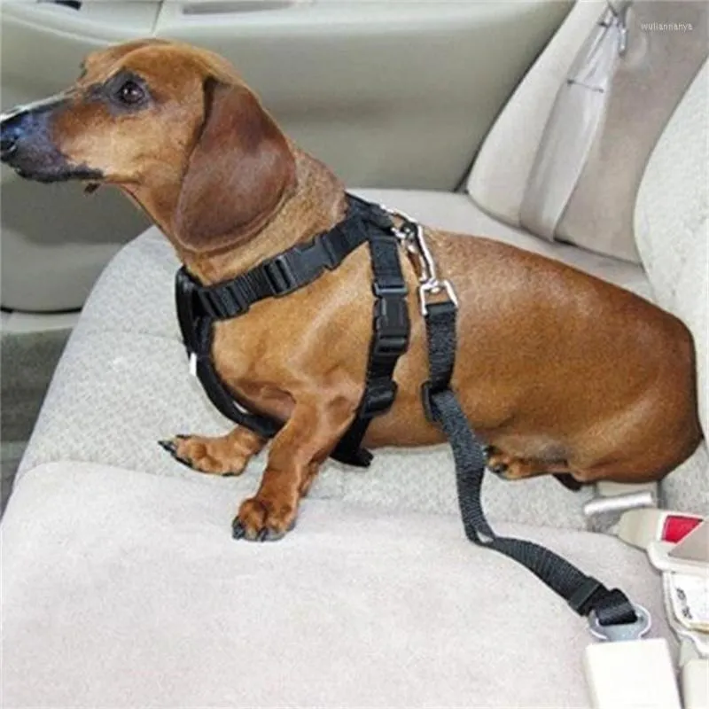 Colliers pour chiens voiture ceinture de sécurité pour animaux de compagnie laisse Nylon coffre-fort chiot ceinture de sécurité harnais pince à plomb fournitures levier de sécurité Traction automatique