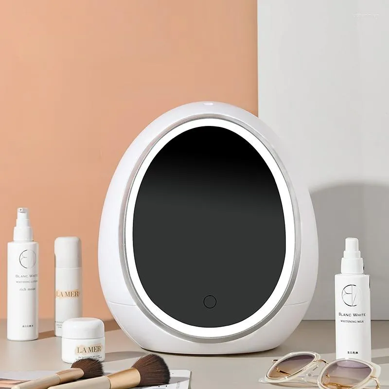 Boîtes de rangement LED boîte cosmétique avec lumière bureau anti-poussière grande capacité miroir rouge à lèvres maquillage organisateur