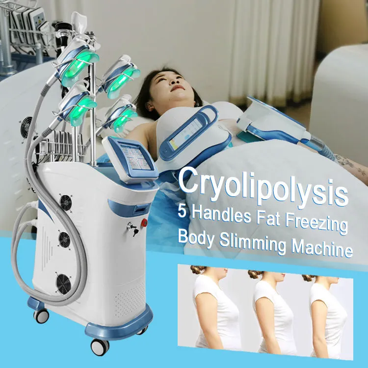 5 poignées Fat Freeze 360 ​​Cryolipolyse Machine Vacuum Cryotherapy Body Sinmming Beauty Equipment Les 4 poignées peuvent fonctionner ensemble