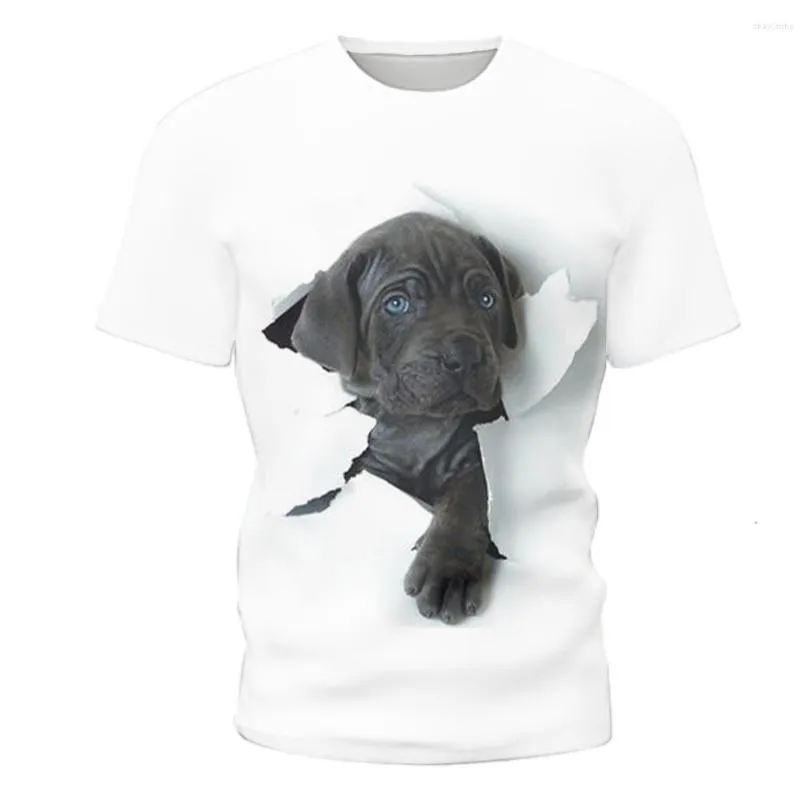 Herren T-Shirts 2023 Mode 3D T-Shirt Druck Niedlicher Kindertrend Hund Kurzarm