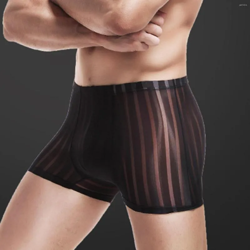 Underbyxor män underkläder is silk manliga sömlösa boxershorts sommarfjäder ultratin andningsbara elastiska fasta trosor boxare