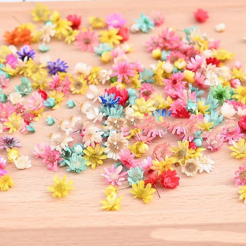 Dekorativa blommor grossist 50g/mycket torkat blomma huvud tusenskönor för epoxiharts hänge halsband smycken gör hantverk diy nagelkonst