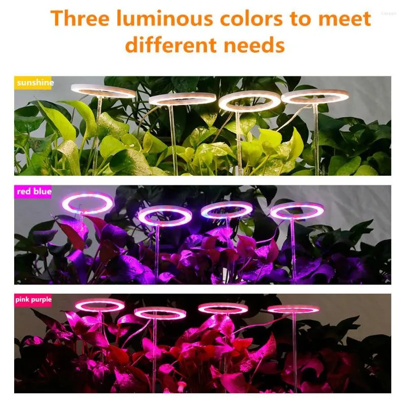 Lampe de croissance LED avec anneau d'ange, alimentée par USB 2023, phytolampe à spectre complet, pour semis de plantes d'intérieur, fleur de maison, succulente