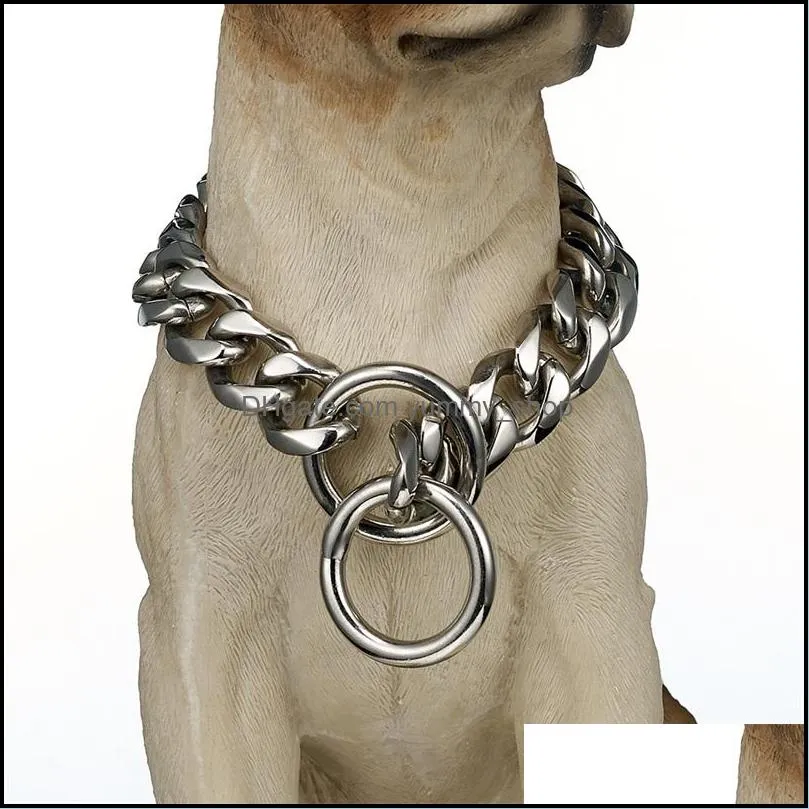 Metal chain cheap dog collars