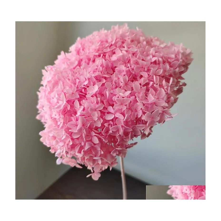 Dekorativa blommor kransar 1BUNch/40x20cm/30Colors Anna hortensia Hela gren Konserverad torkad blommebukett P Ograph Home Deskto Dhzlg