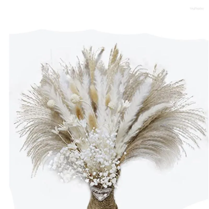 Decoratieve bloemen Gedroogd pampas gras 65 stks wit decor 17in klein natuurlijk boeket in vaasplant droog