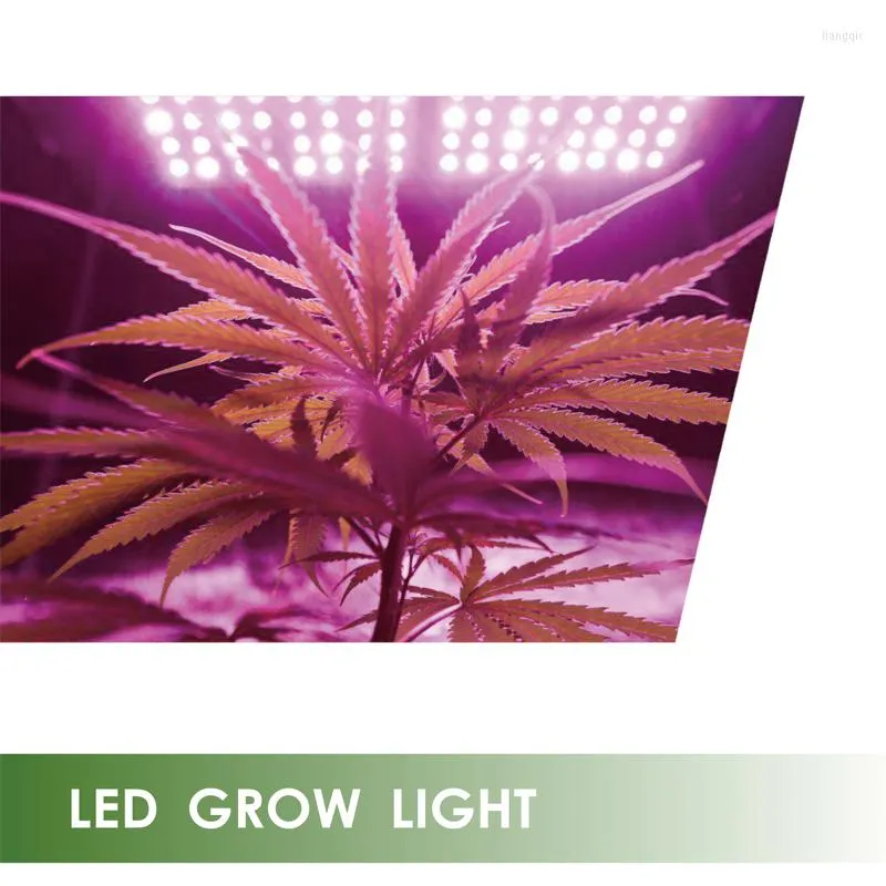 Grow Lights Lampada a spettro completo a luce led rimovibile per la coltivazione di piante da tenda da interni con spina da 1,8 milioni di Stati Uniti