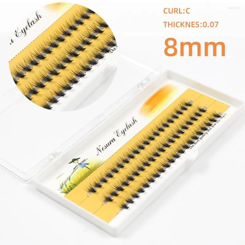 Faux Cils Greffe Monde 60 Pcs Naturel 3D Extension De Cils Russe Volume Vison Individuel 20D Cluster Cils Maquillage Cilia