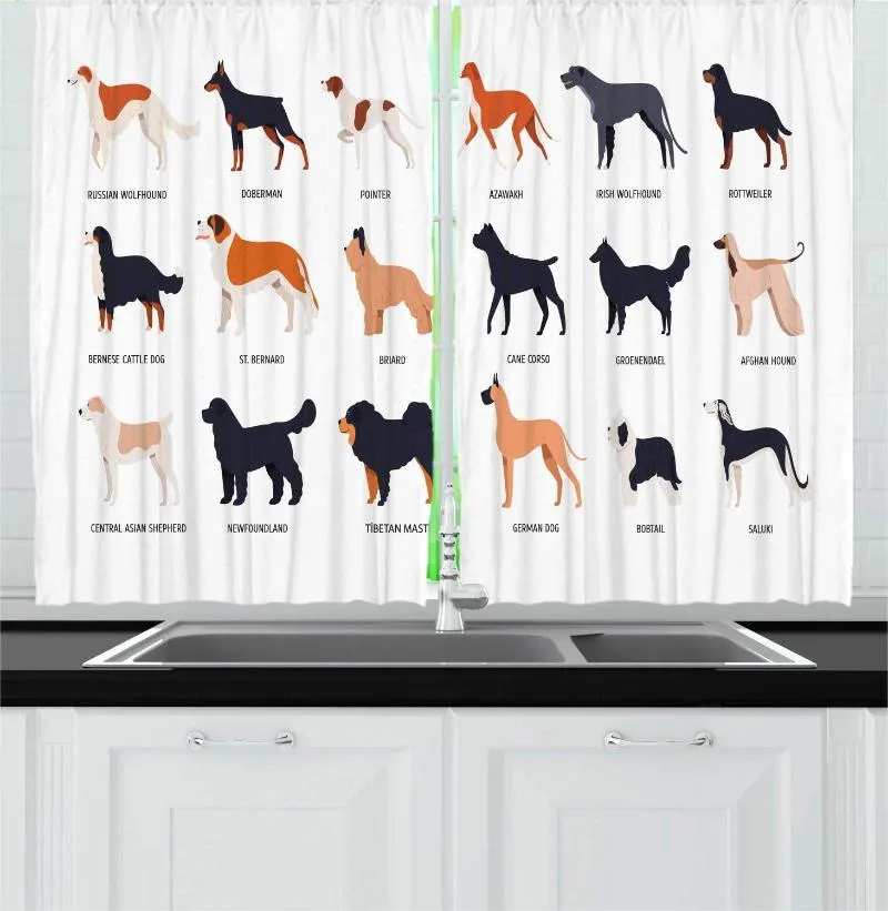 Tenda Cani multicolori Tende da cucina Infografica sugli animali domestici Diverse razze Nomi scritti Viste laterali Tende per finestre