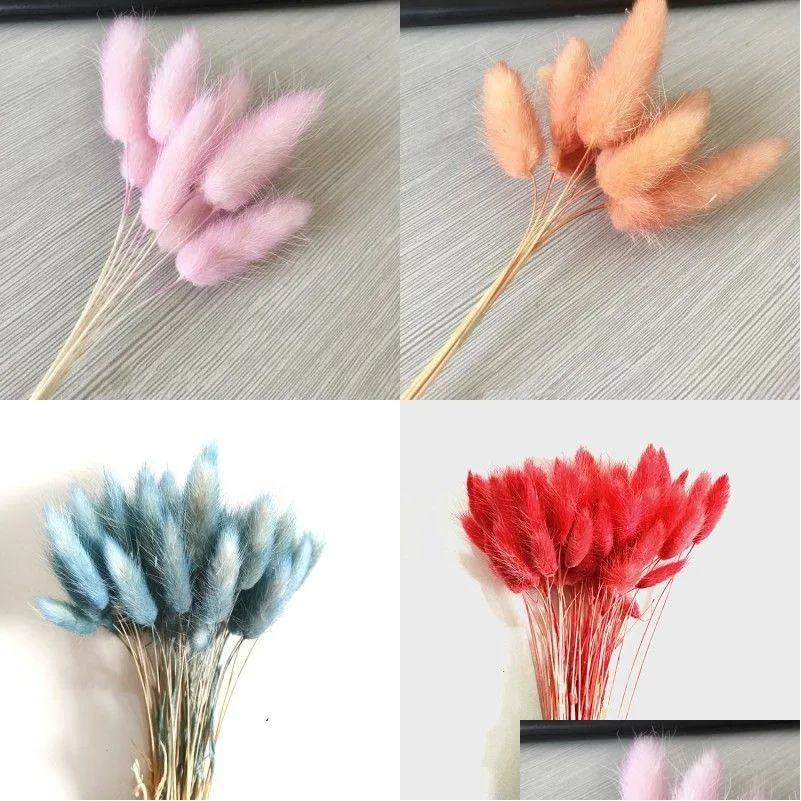 decorative flowers wreaths hare tail grass dried flower home decoration kitchen living room colorful bouquet diy a bunch of 10 branches 4kn