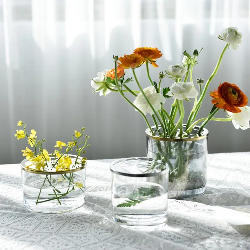 Vasen Nordic Dekoration Hause Transparente Hydrokultur Getrocknete Blumen Vase Gläser Pflanze Dekorateur Becher Wohnzimmer Terrarium