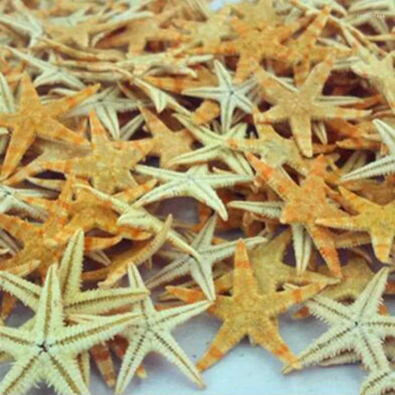 Decorações de Natal 100pcs mini decoração de artesanato de estrelas do mar Natural Stars mares