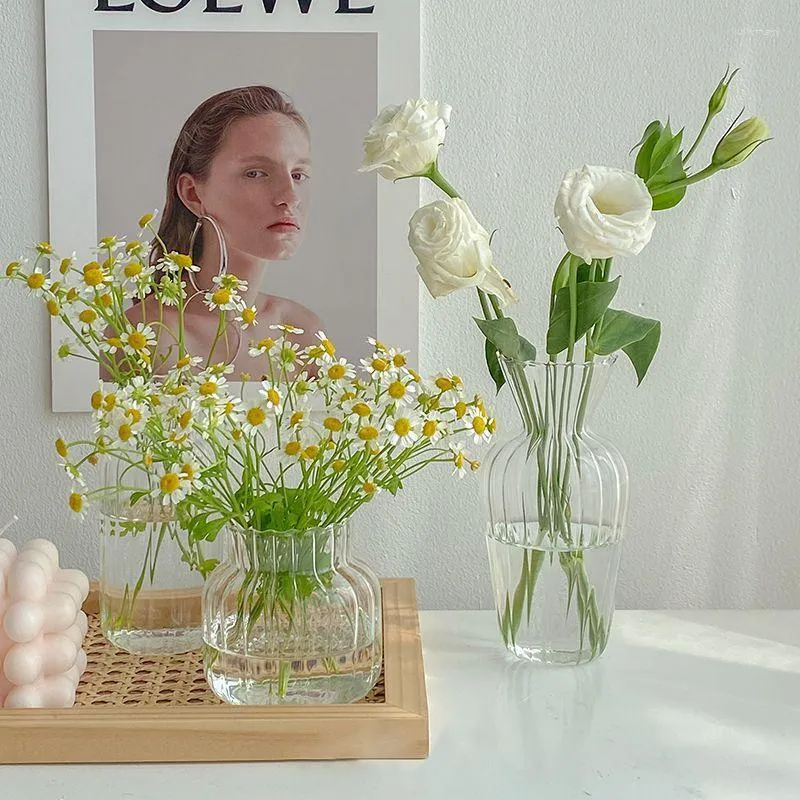 植物のための花瓶の透明なガラス花瓶