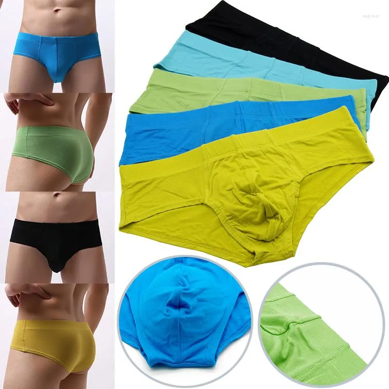 Slip 5 pièces/2 pièces hommes Sexy sous-vêtements d'hiver hommes slips homme Jockstrap Gay sous-vêtement Bikini Slip coton slip Cueca