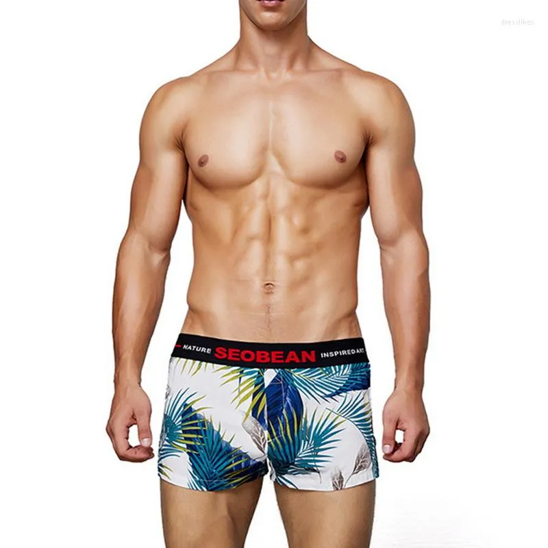 Underpants Brand Printed Boxers Panties Cotton Underwear Elastic Cool Boxer 2023 Arrival Men Shorts