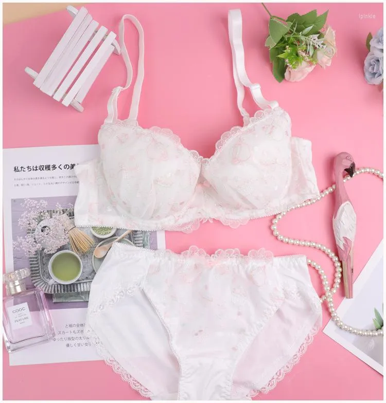 Kawaii Lingerie Set: Lace Embroidered Push Up Bra And Matching Bra And  Panties In White And Blue Korean Style 2023 Collection From Ipinkie, $19.6