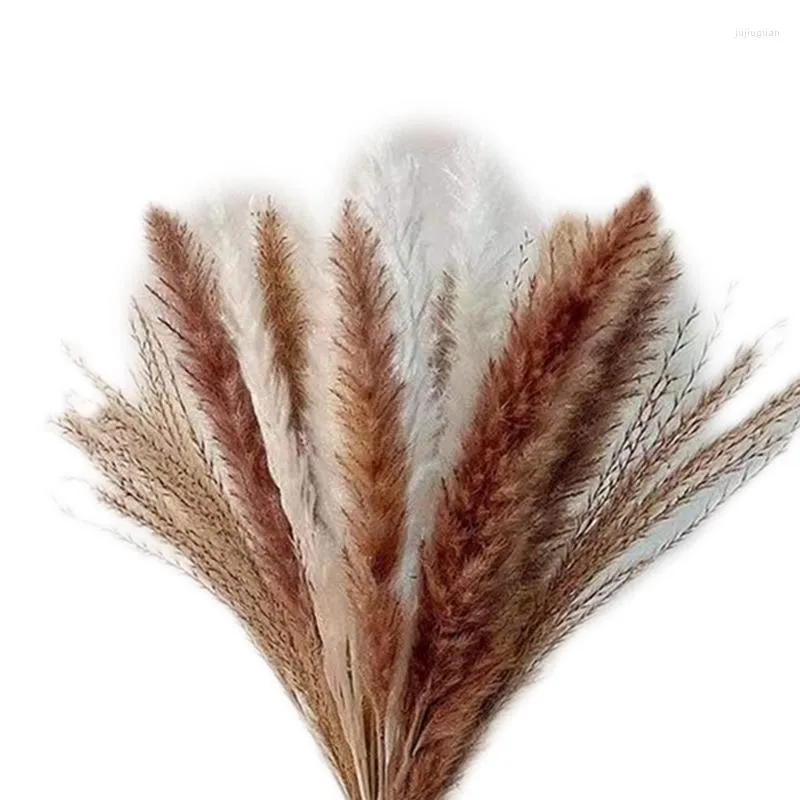 Decoratieve bloemen 75 stks gedroogd pampas gras decor 17,5 inch droog voor boho thuis bruiloftsfeestje