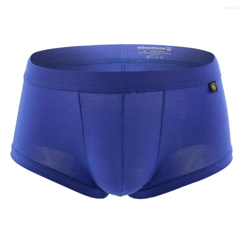 Mutande Intimo uomo Boxer Modale Homme Boxer da uomo Boxer sexy U Convesso Custodia per pene Maschile L'assorbimento dell'umidità