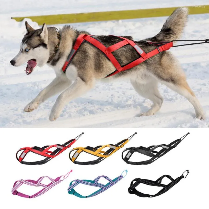 Hundhalsar Reflekterande släde sele PET Vikt Dragande släde för stora hundar Mushing X Back Harnesses Skijoring Scootering