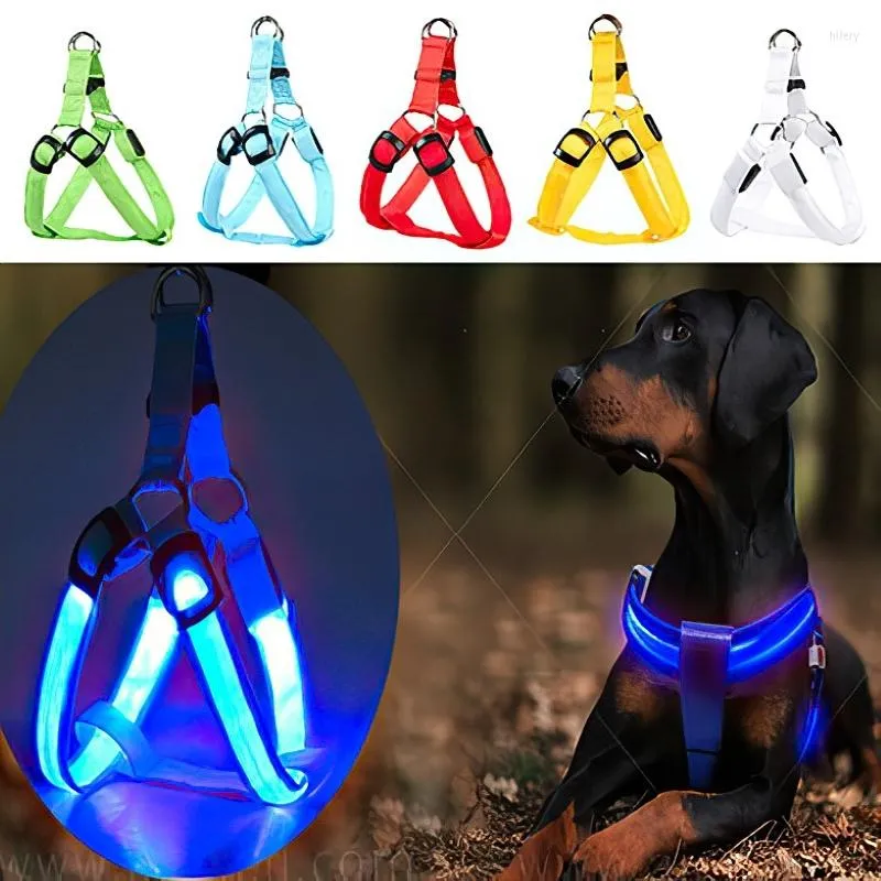 Köpek yakaları LED USB şarj edilebilir koşum yanıp sönen Yürüyen Yürüyüş Ayarlanabilir Pet Yakası Işık Gece Güvenliği Parlayan