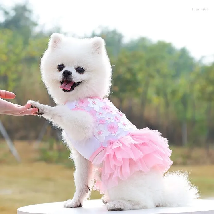 Hundklädklänning Sommar Horsell Sweet Princess Kjol Pettiskirt Cat Peach Blossom Mesh Pet Chihuahua York Wedding