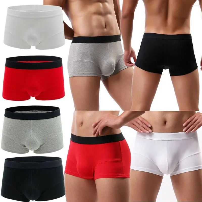 Underpants Mężczyźni bokser bokser bawełny człowiek pod noszeniem oddychające solidne bokserski boksers ropa seksowne hombre wygodne