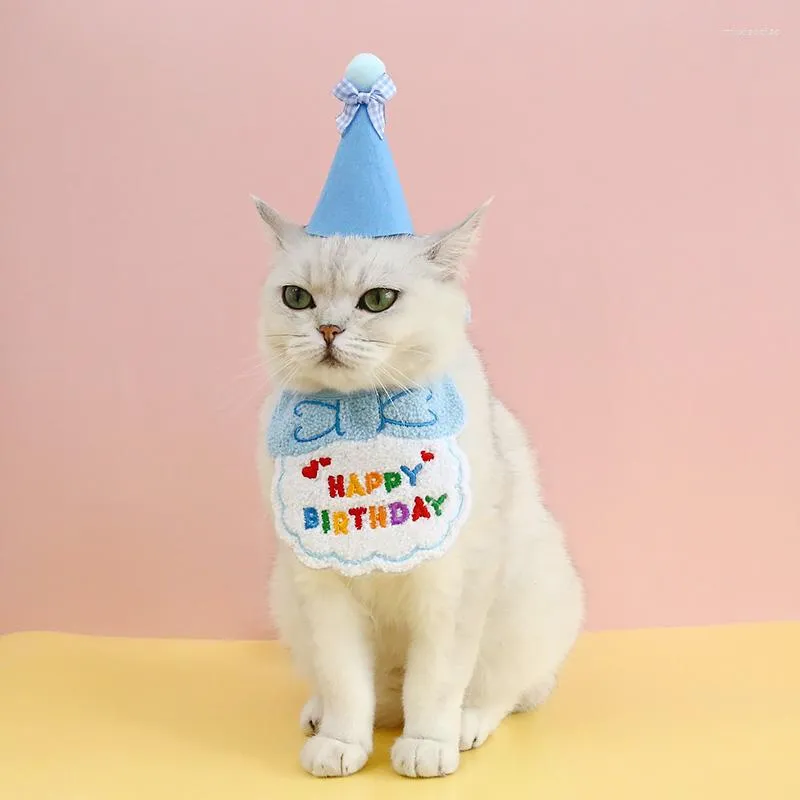 Psa odzież domowa urodzinowa kapelusz i szaliki ubij czapki ślinę kota