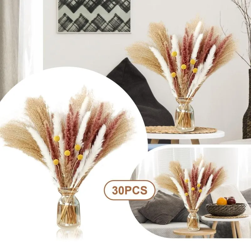 Fiori decorativi essiccati 30 45 cm Disposizione di fiori di erba esagerata soffice Boho Famiglia Decorazione di nozze Beige