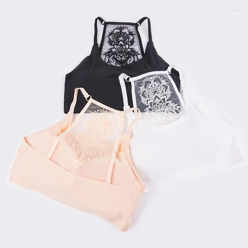 CAMISOLS TANKS 3PCS/LOTE MULHERES BRA MULHERES TOPS SEXY BANDEAU ICE ICE SILK HALL OUT BRALETTEL BRALETTE CRUPTA TOP LINDADOS