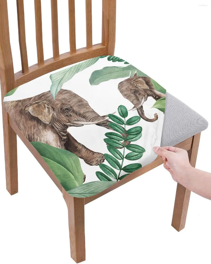 Housses de chaise, plantes tropicales, éléphant d'afrique, coussin de siège, extensible, pour salle à manger, maison, Banquet, salon