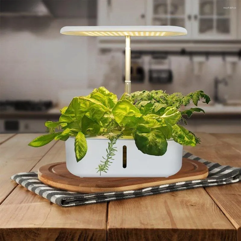 Grow Lights 10 Pods Hydroponics Growing System Höhenverstellbares Smart Indoor Garden Kit mit LED-Licht