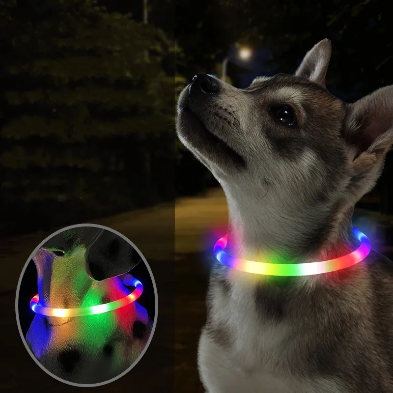 Colliers pour animaux de compagnie LED Chien coloré Collier Collier de nuit Migne de nuit Marche Lumière brillant Couc Flash USB Charge