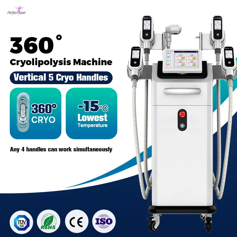 Professionele cryotherapie Facial Machine 360 ​​Therapie Cryolipolysi Slankmachine 5 Handgrepen Gebruik schoonheidsapparatuur 100kpa 110V/60Hz