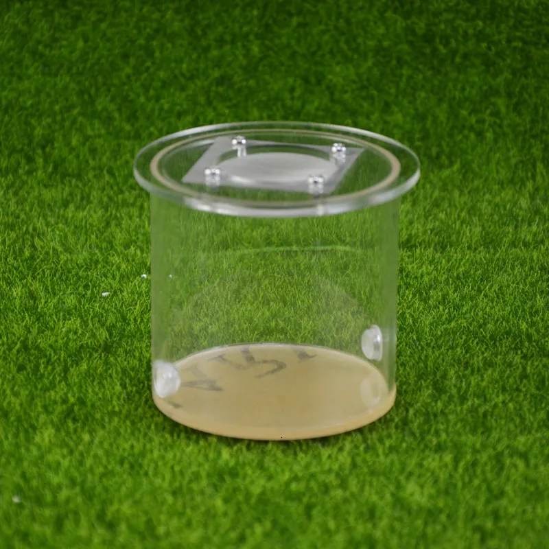 round ant farm food feeder,food feeding area for ant nest ,ant farm acryl or insect nests villa pet mania for house ants