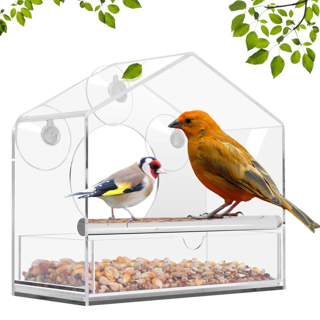 Other Bird Supplies Feeder Acrylic Transparent Outdoor Window feeder Tray House Pet Suction Cup Installation Type 230130