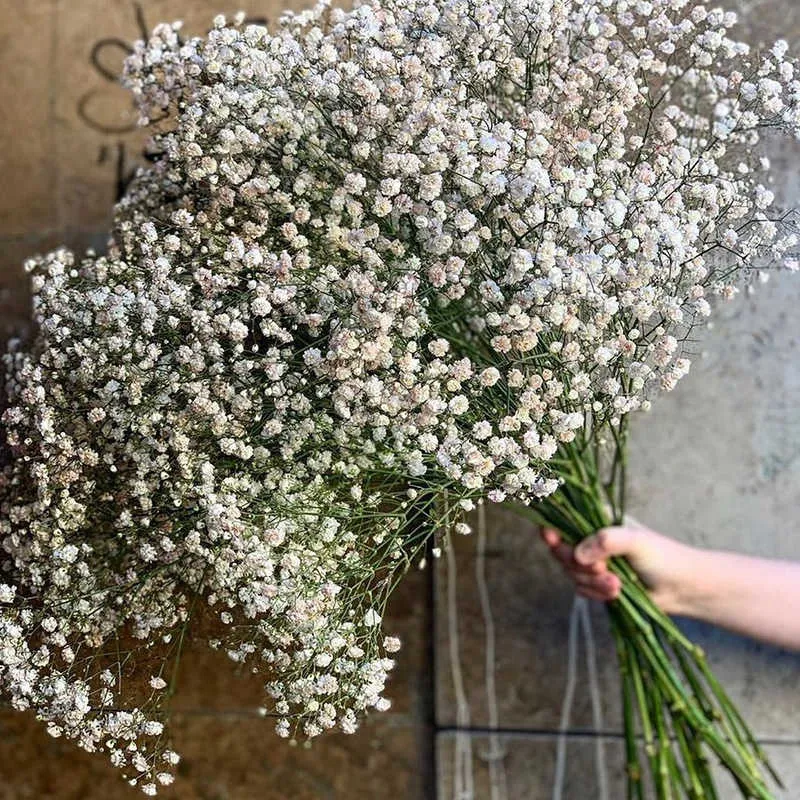 Natural White Babys Breath Dried Flower Centerpieces Wedding For