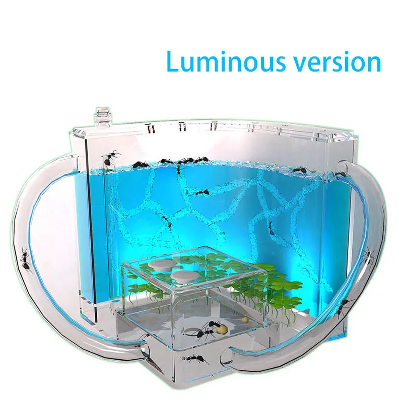 Furpaw Formicaio Kit, Casa Delle Formiche Nido Delle Formiche Per Formiche Alimentazione, Trasparente Habitat Per Osservare La Formica Viva