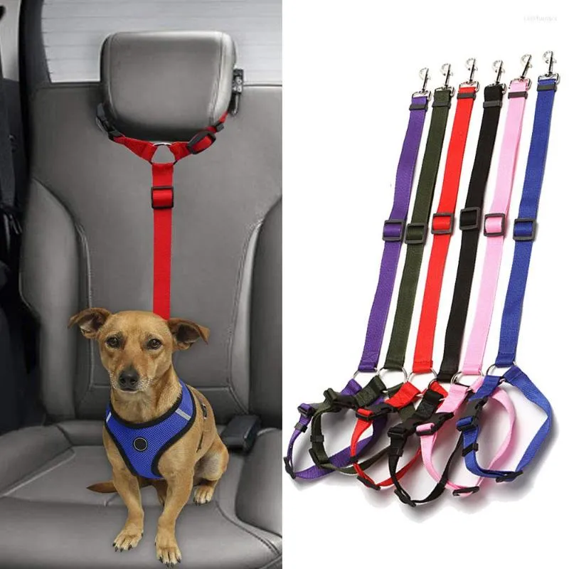 Colarinho de cachorro universal prático gato chicote de trenô de travel strap strap lead caro de segurança de segurança cinto de segurança colarinho de assento ajustável