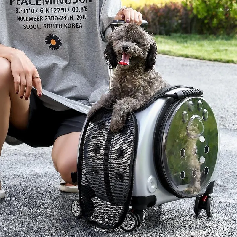 犬のカーシートカバー2023多機能通気性二重目的スペースペット荷物ケースポータブルバックパックバッグ
