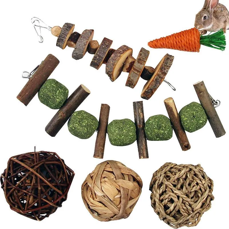 All-Natural Wood Scent Chew Toys for Rabbits, Guinea Pigs & Chinchillas ...