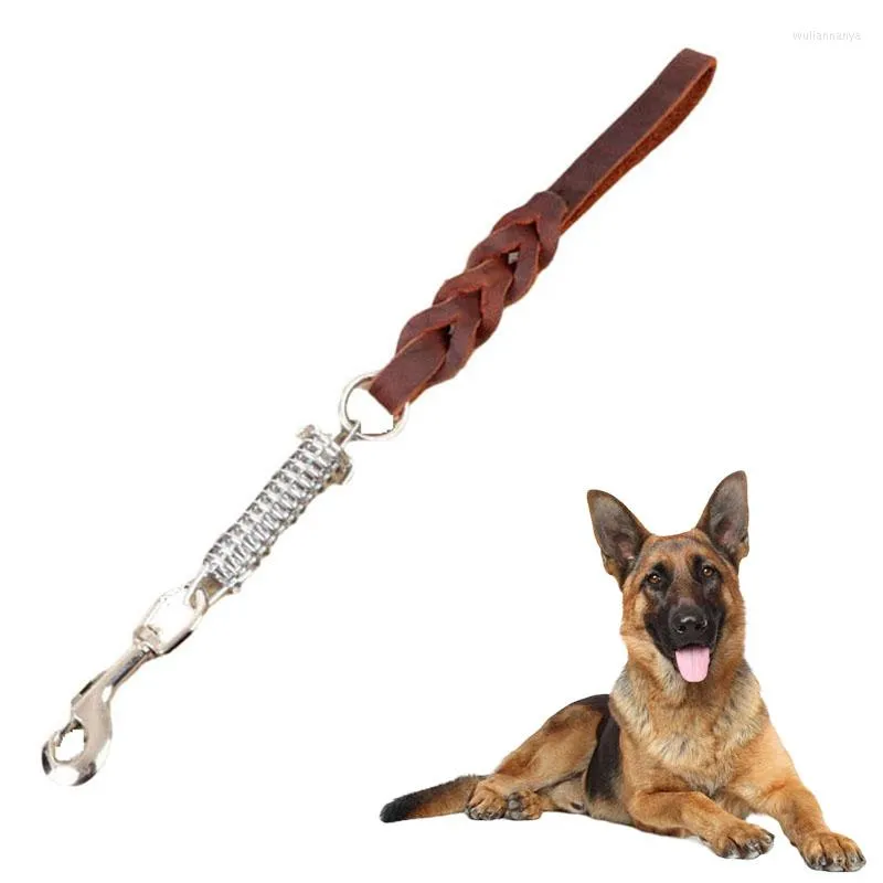 Hundehalsbänder, kurze große Leine, einstufiges Zugseil, geflochtenes Echtleder, große Walking-Trainingsleinen, Federpufferleine, 48 cm